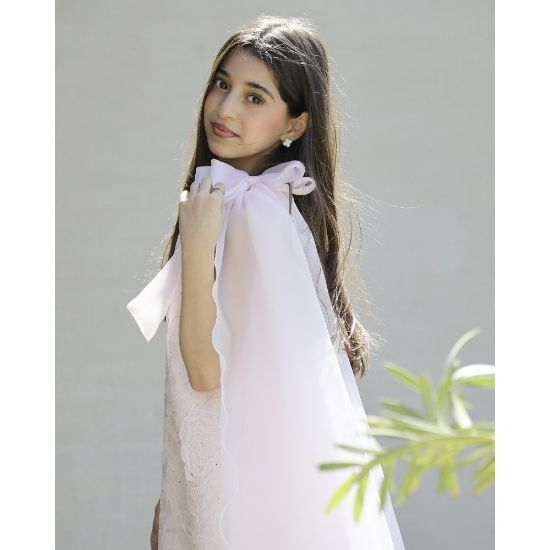 صورة فستان بناتي مطرز ورود كبيرة وفيونكات فراشة وردية | تصميم ملكي - 1201